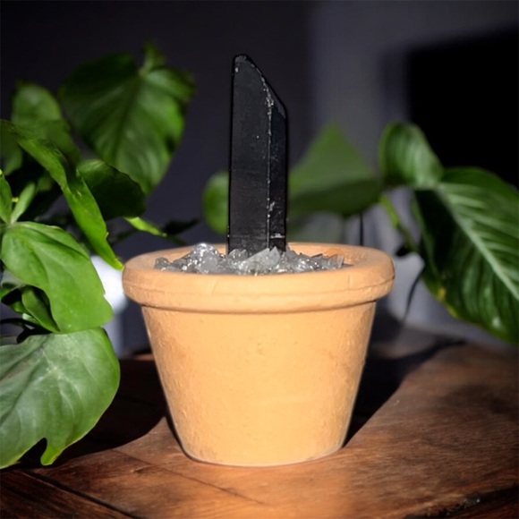 Other - Smokey Quartz Crystal in MINI Terracotta Pot